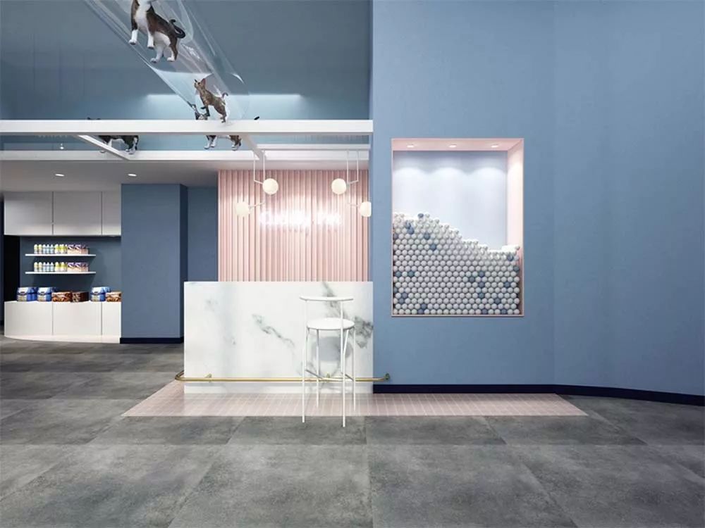 1677033677857852.jpg 宠物店1.jpg