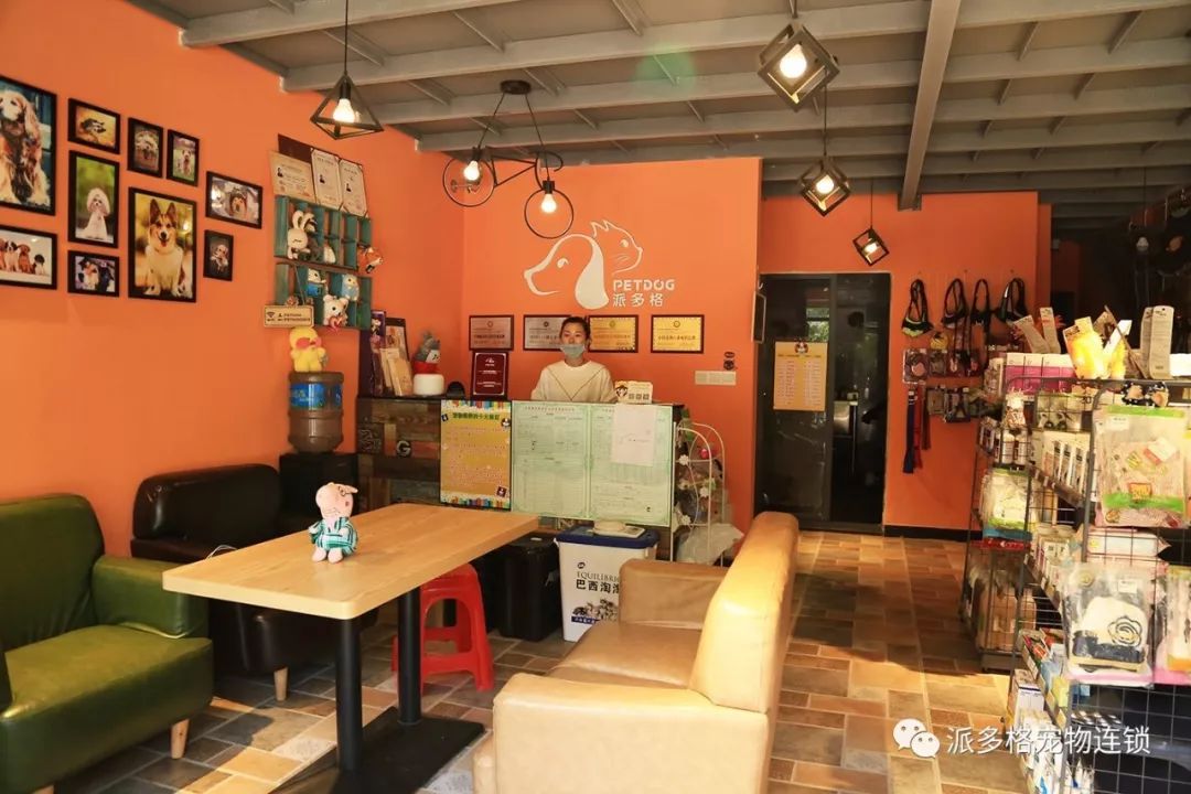 杭州开宠物店需要准备什么呢？（开宠物店如何用2万元装出5万元的效果）