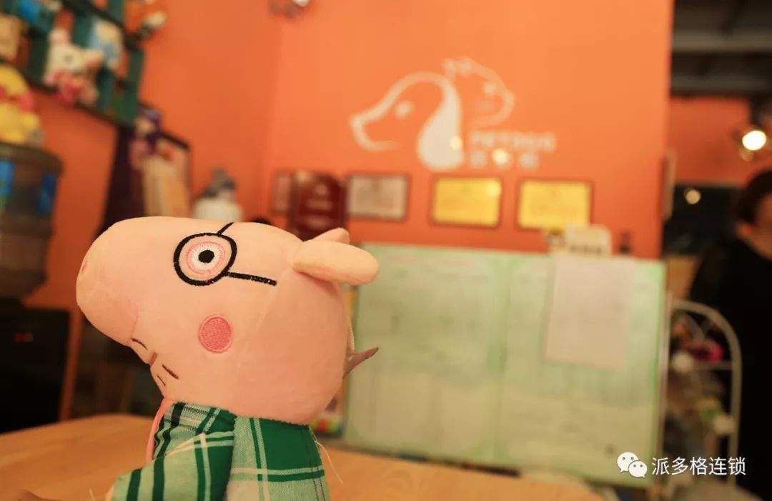 杭州开宠物店需要准备什么呢？（开宠物店如何用2万元装出5万元的效果）