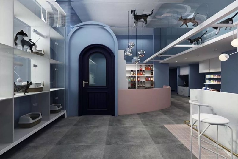 宠物店装修设计,给动物一个温馨舒适的家! 宠物店装修设计,给动物一个温馨舒适的家!