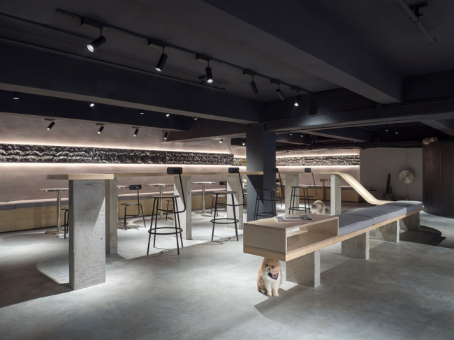 杭州宠物店装修多少钱,杭州宠物店装修,杭州宠物店装修公司